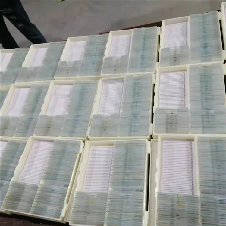 Factory Lab 50 Pcs / Set Human Animal Histology Prepared Slides Glass Microscope for Teaching in Plastic case