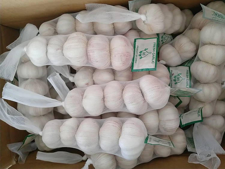 Garlic Supplier Pure White Garlic in Carton