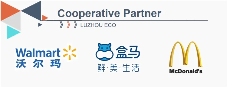 LUZHOU Natural Sugarcane Bagasse Renewable Plant Fiber Tree Free 3-Compartment Clam Shell Container