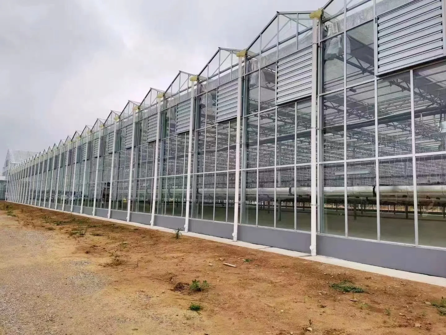 Multi Wall Polycarbonate Hollow Sheet Price PC Roof Panels Greenhouse Plastic Construction Material