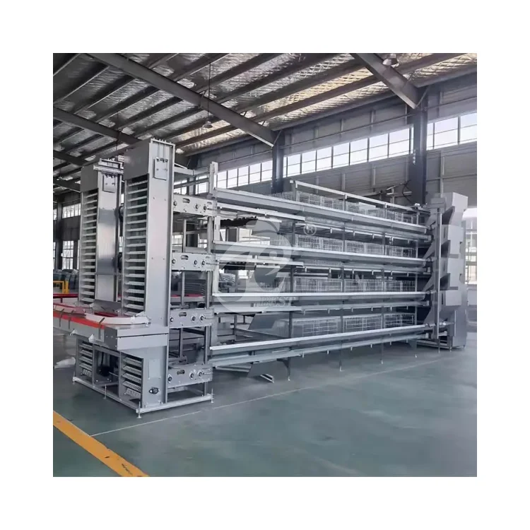 Fully Automated 20,000 Layer Cage System H Type Poultry Farms Rearing Equipment