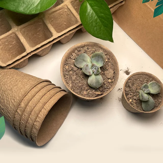 Multifunctional Biodegradable pulp seedling flowerpot nutrition breeding cup