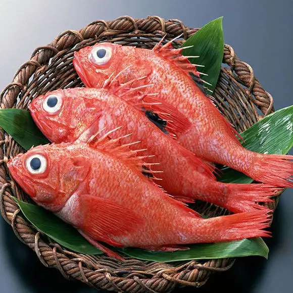 Shandong Ocean Village Food Clean and Delicious EU Standard Chemical Treated IQF Frozen