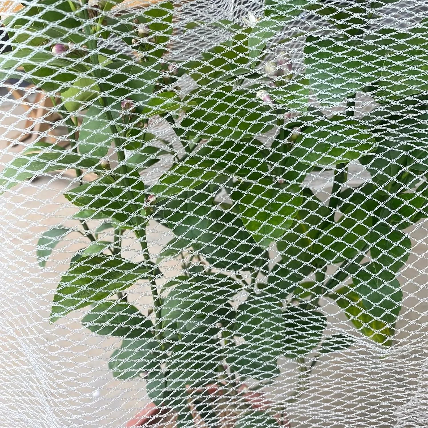 Garden Netting for Bird Insect and Bug Cover Multiple Size White Mesh Fabric Mosquito Net for Fruit & Vegetable Protection