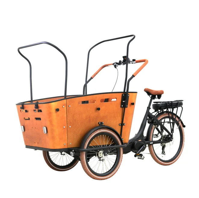 Популярная распродажа! Электрический трехколесный велосипед для взрослых, трехколесный велосипед 3-х колесный Электрический Грузовой Велосипед, способный преодолевать Броды для детей