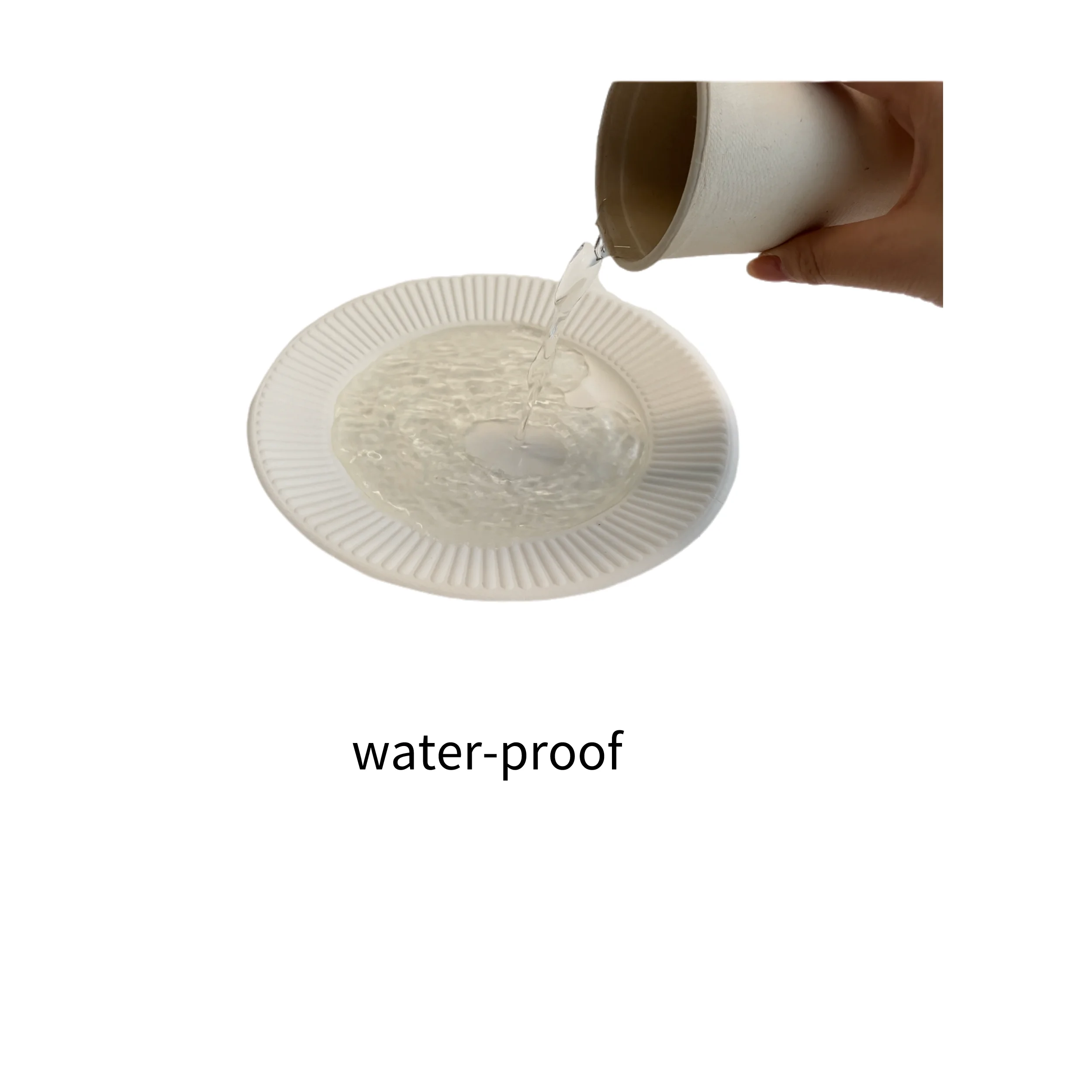 8 Inch Tray Biodegradable Bagasse Plate Biodegradable Food Packaging Paper Tray Disposable Dinnerware