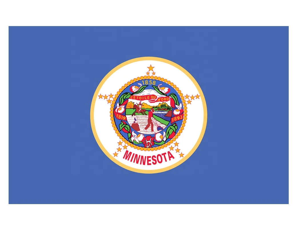 Customized Cheap Factory Direct Price America Minnesota State Flag