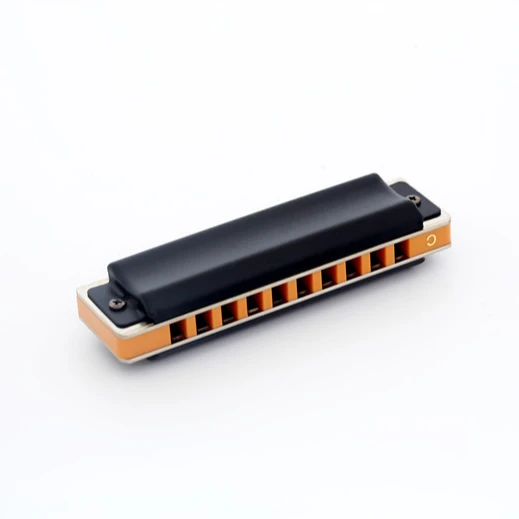 10 hole professional blues harmonica for player,beginner T008S