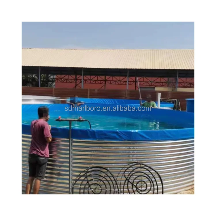 Customized Outdoor Tilapia Fish Farming Bbreeding System Other Aquaculture Equipment Ssupplies