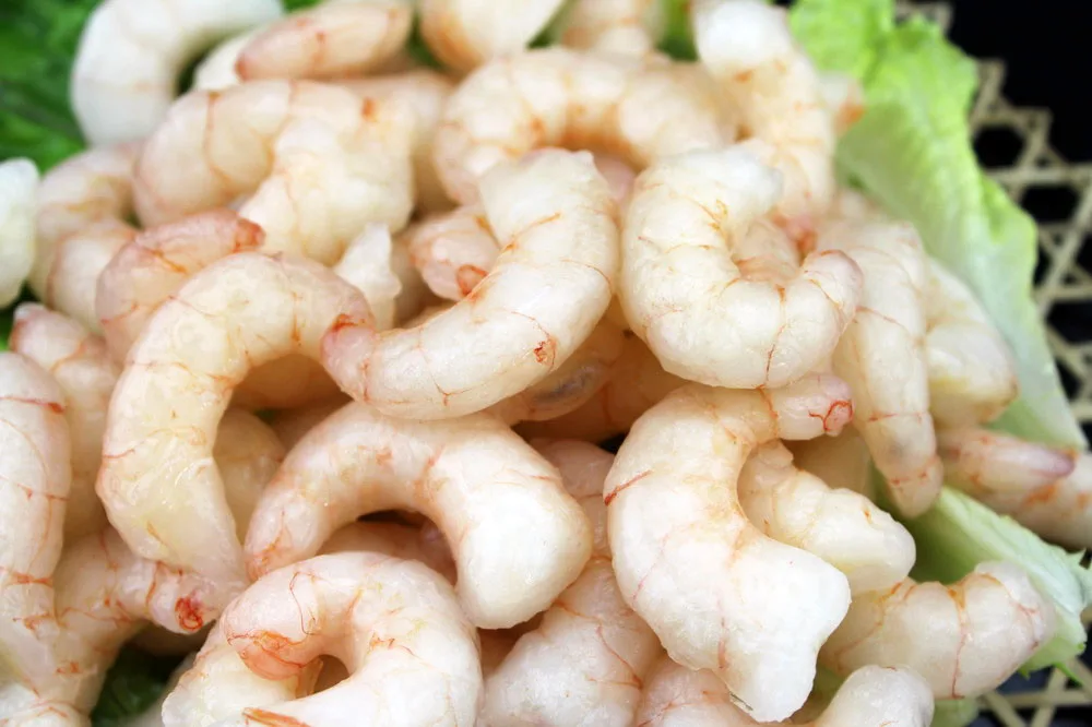 Fresh seafood  Frozen Whole  shrimp /red  shrimp for sale