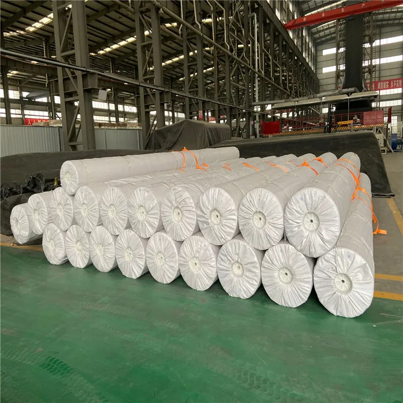 Прямая Гео мембрана HDPE Мембраны мембраны материал влагостойкие фабрика в Китае 15 лет