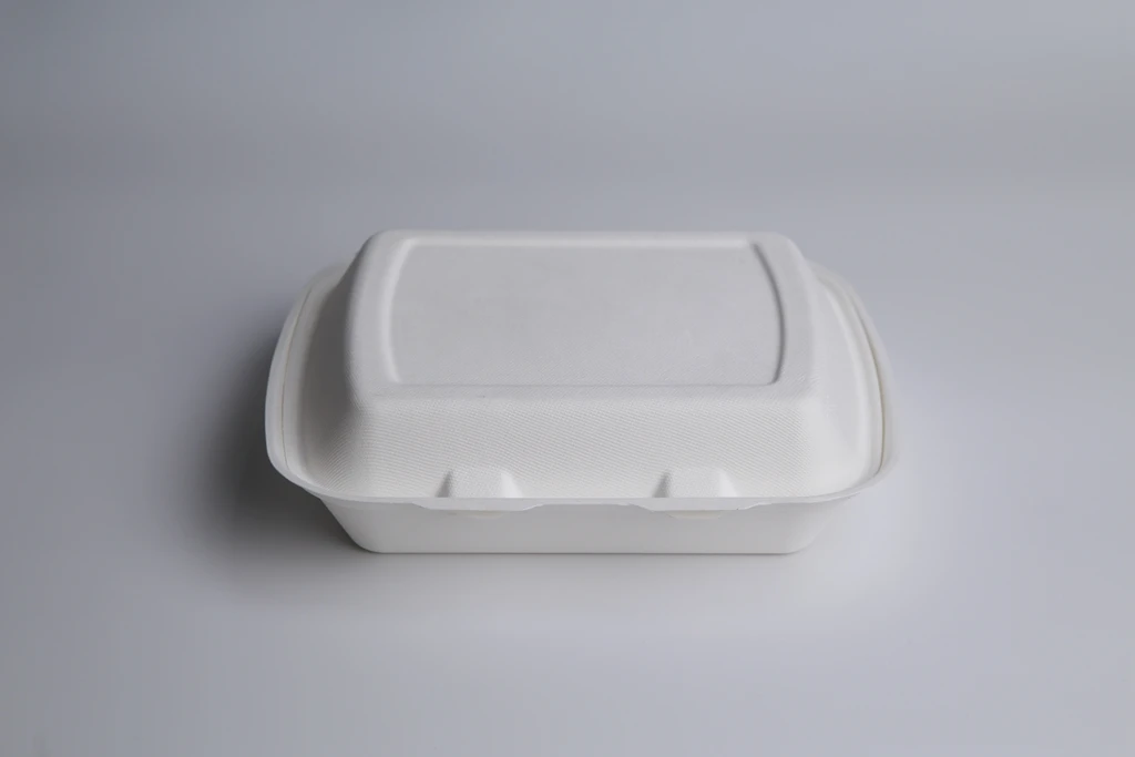 Restaurant catering wholesale disposable biodegradable Ecofriendly Box takeaway Lunchbox 9x7inch