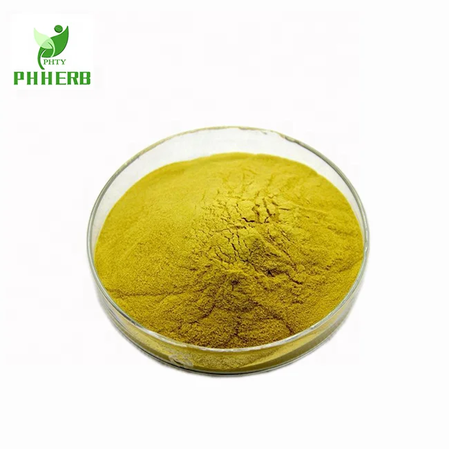 Top quality super root extract Baical skullcap root extract powder for health