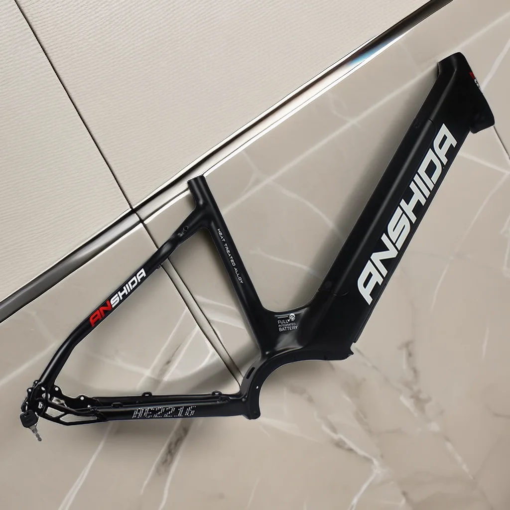 AE2216 New Product Zwart Wit Fat frame Tire Beach Cruiser Frame Woman Ebike