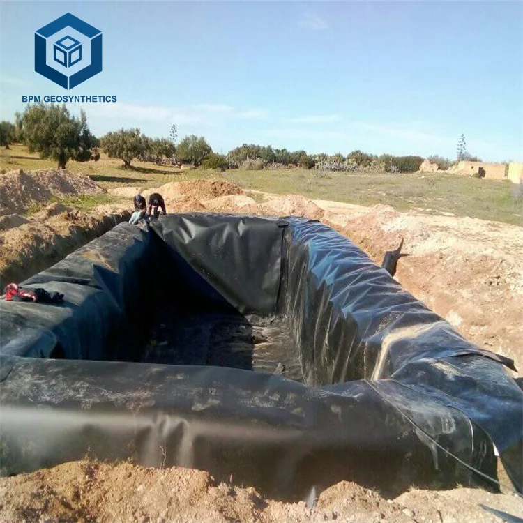 2mm Mining Landfill Geomembrane Industrial Style HDPE Pond Liner for Landfill Project in South Africa