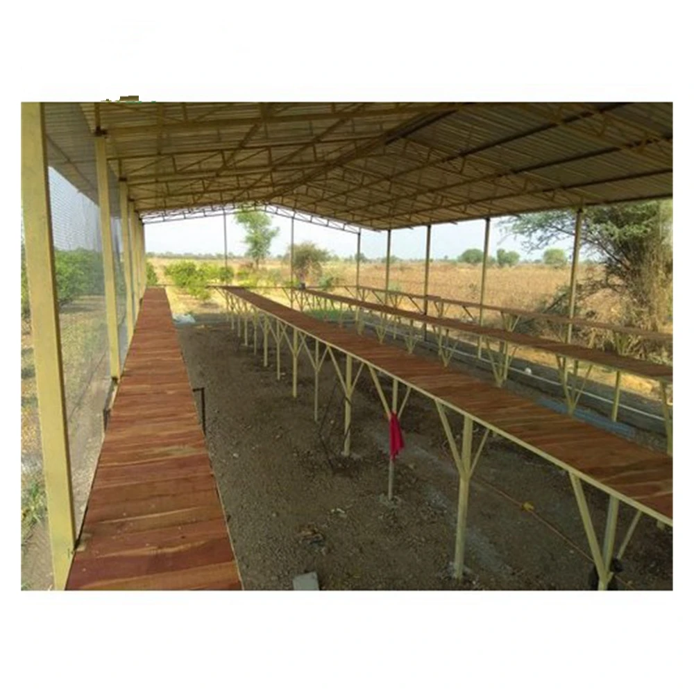 building chicken house poultry farm construction