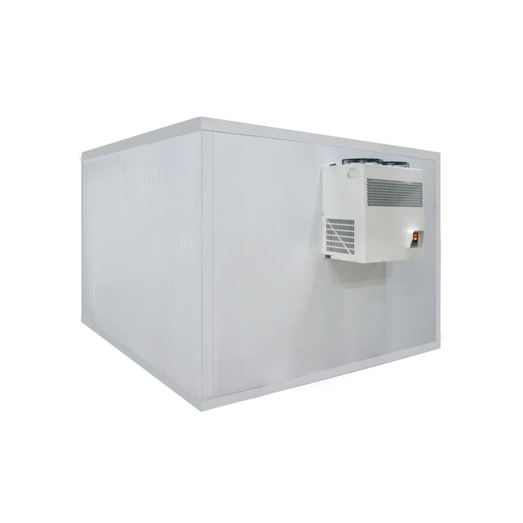 Hot Sale Beef Pork 40 Tons Capacity Blast Freezer Cold Room