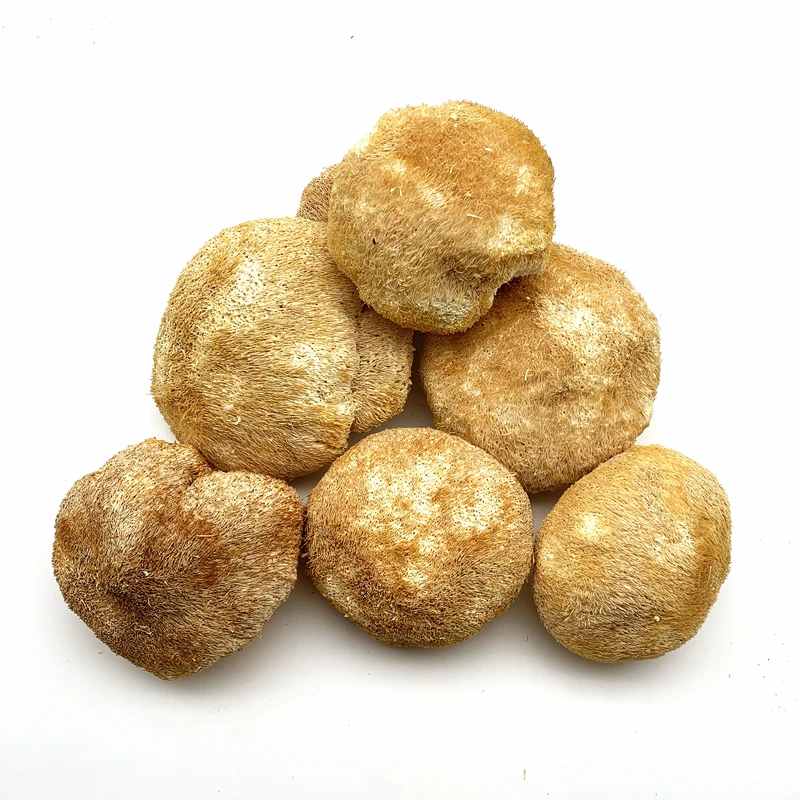 
Healthy Food Dried Lions Mane & Hericium Erinaceus Mushroom & Monkey Head Mushroom 