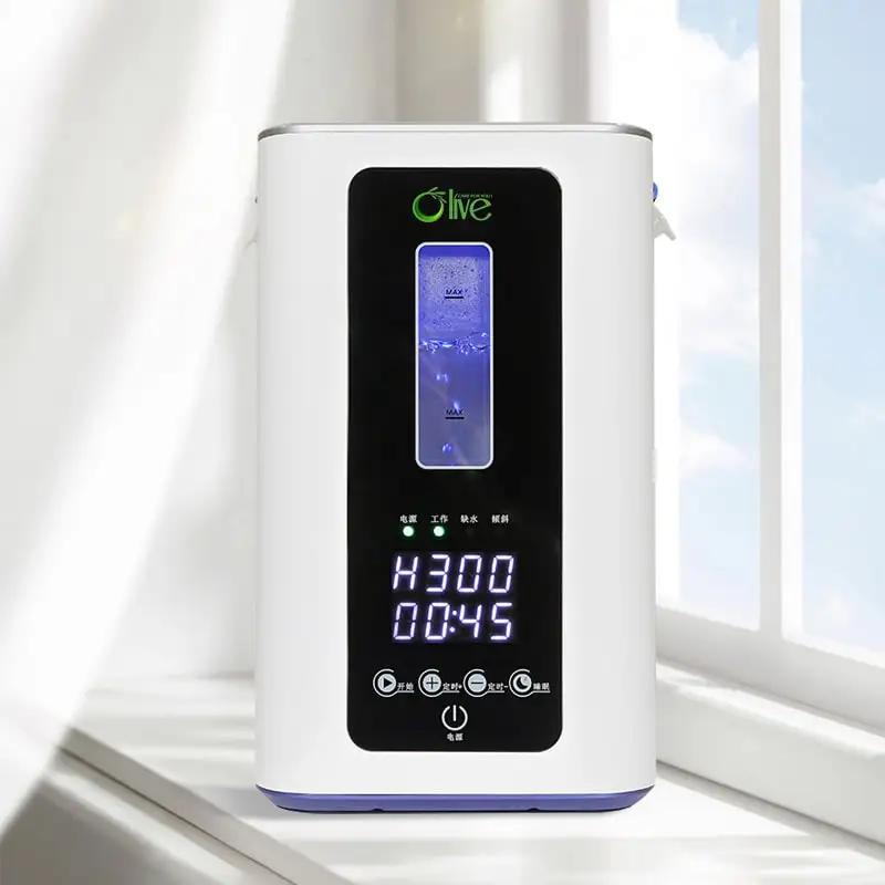 Home PEM Hydrogen Machine Inhaler Portable Inhaler Hydrogen Inhalation Machine Breathing 300ml 600ml Hydrogen Oxygen Generator