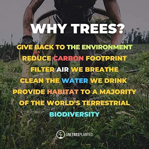 Supplement Curcumin Free Ginger Sugar Vegan Pectin OEM/ODM