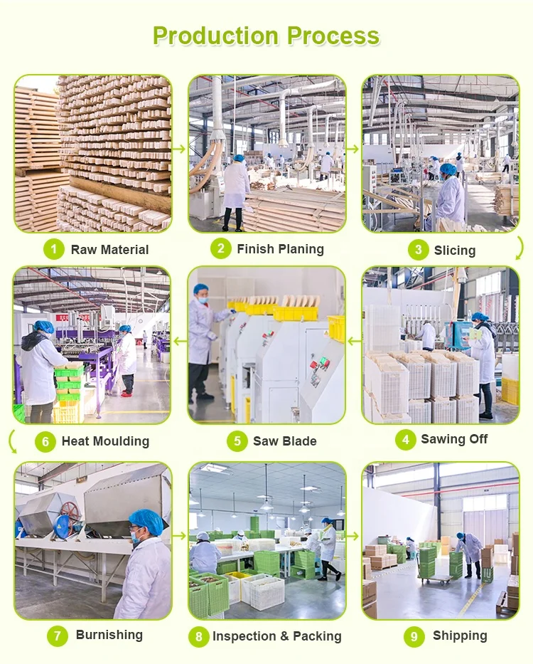 Icecream Plastic Spoons Alternative Bambo Mini Spoon for Ice cream Cup