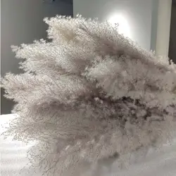 UO new arrivals natural artificial flowers large pampas gray pampas grass dried flower plume size 60cm decorative flowers