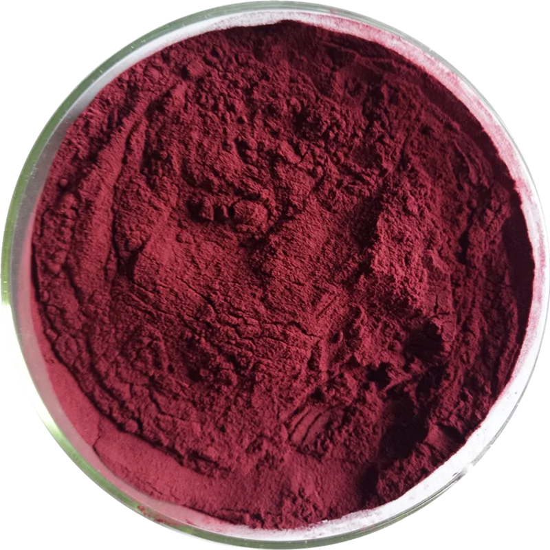 Hot Sales Food Grade Pure Natural Wholesale Concentrate Fruit Juice Cranberry Powder