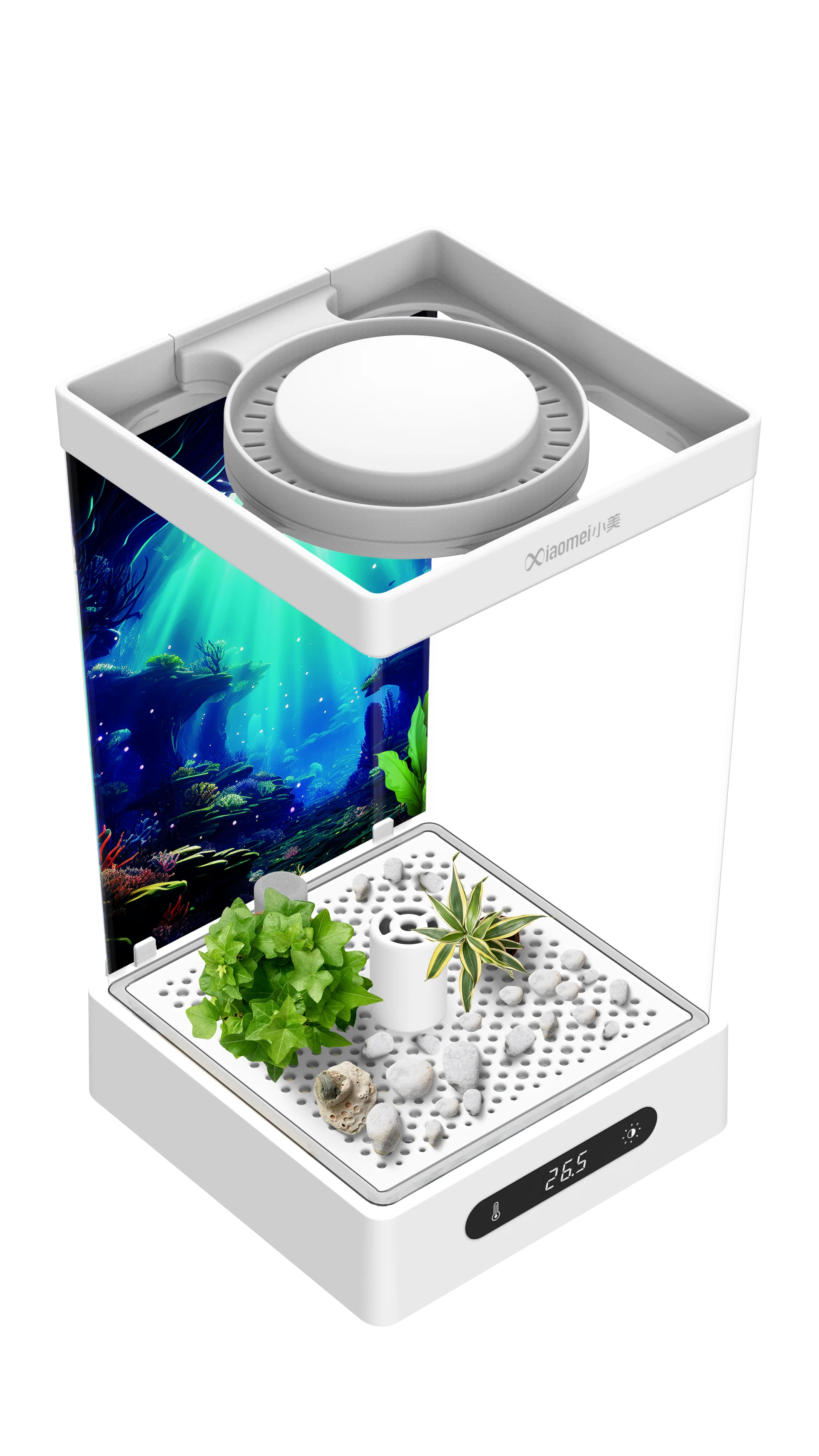 Factory Home Premium Food grade Fish Tank Aquarium Smart Fish Tank with RGB light