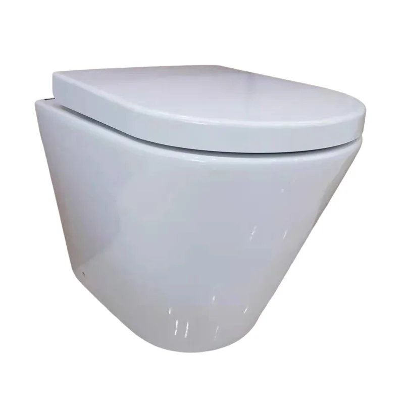 Sanitary Ware Bathroom P-trap Floor Mounted Ceramic Two Piece WC Toilet Bowl