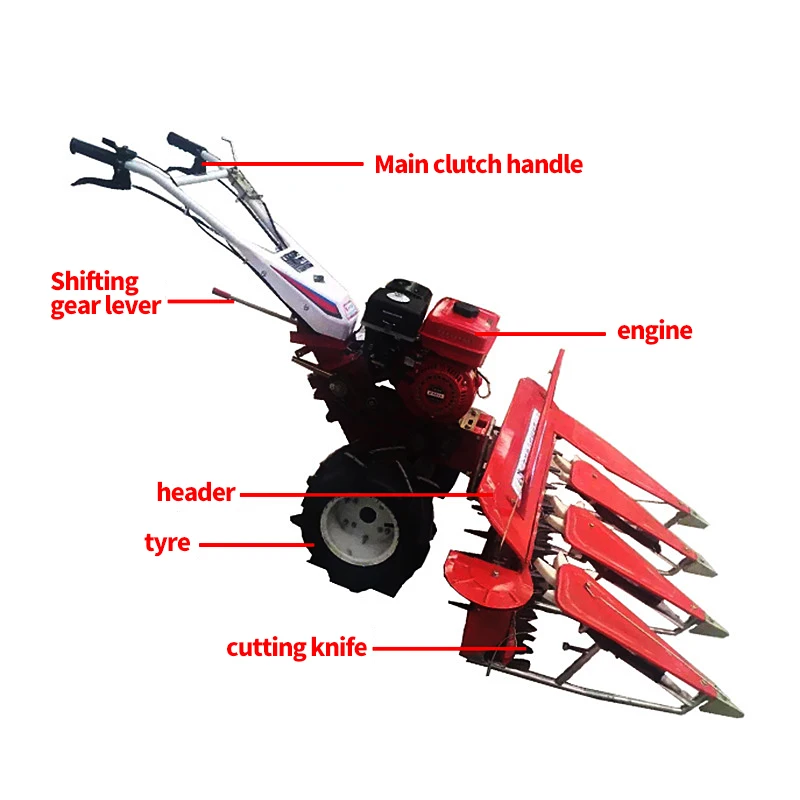 Sorghum Alfalfa Small Cutting  Machine Mini Reaper  Diesel Tractor Mounted Harvester