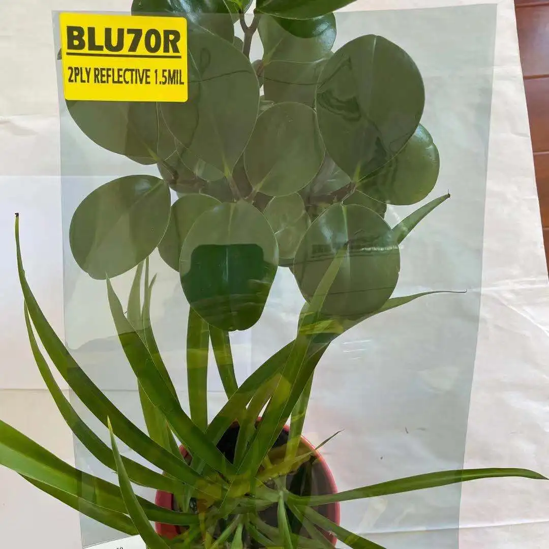 BLU70R AUTOMOTIVE WINDOW TINT FILM WHOLESALE VLT 70% IR 30% MEDIUM MIRROR EFFECT WINDOW TINT AUTOMOTIVE FILM