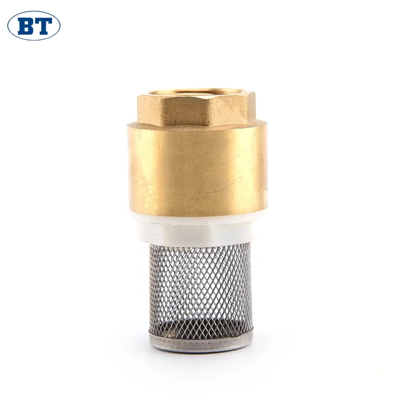 BT5003 China supplier online shop cheap price brass spring check valves with ss wall