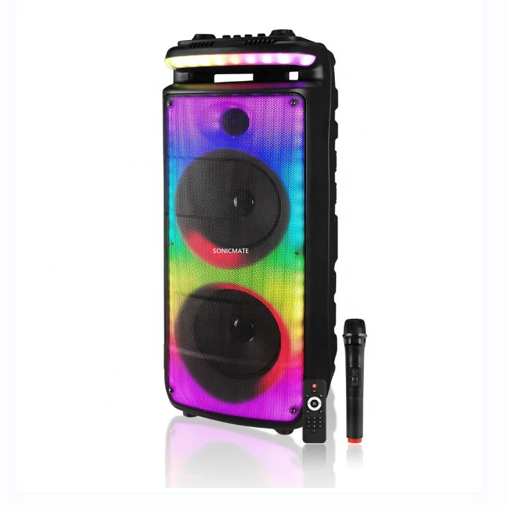 Dual 8 inch Speaker with unique dynamic LED light rings portable Speakers home theater system
