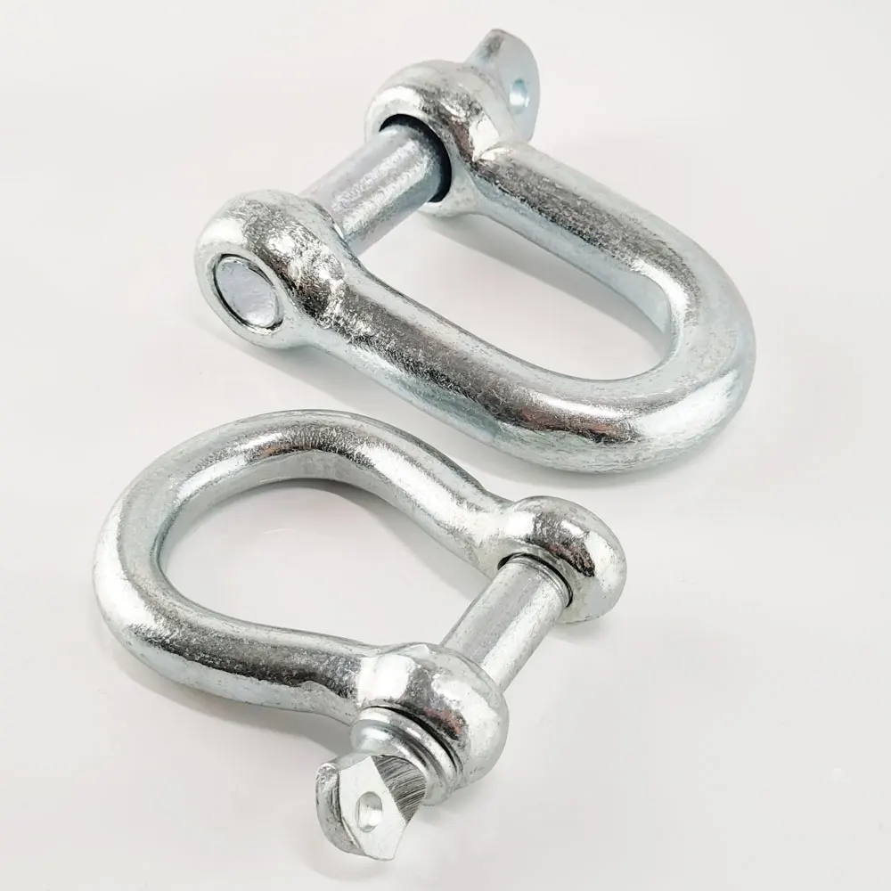 Stainless Steel 304/316 European Type Dee Shackle D Shackle Lifting