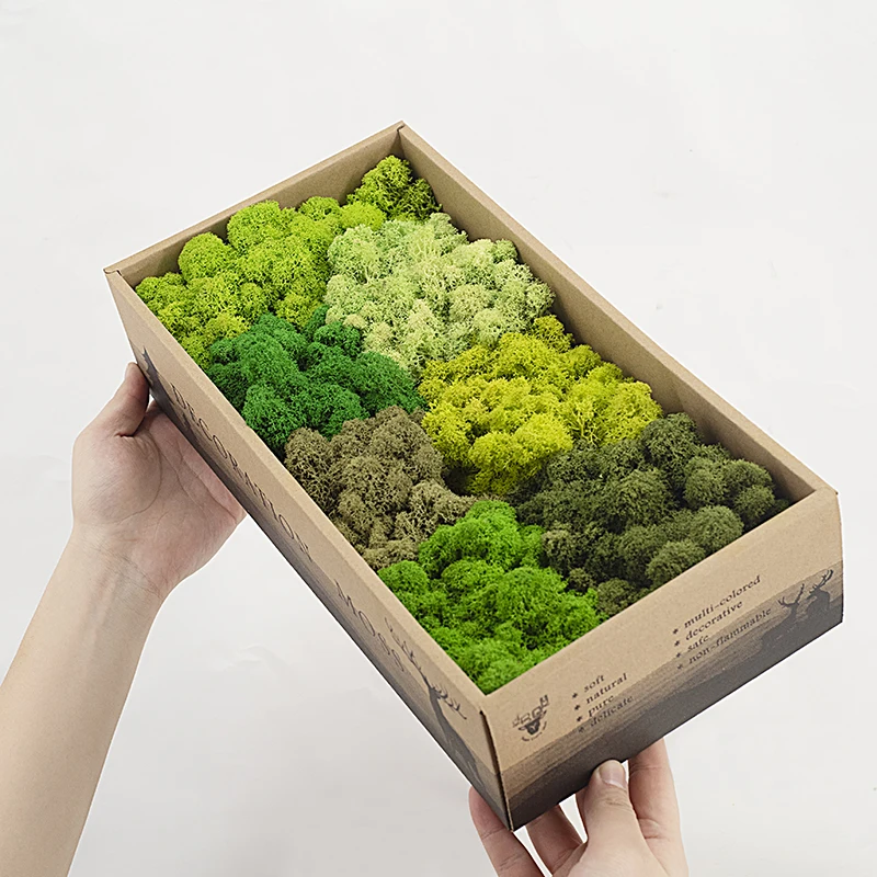 Wholesale Stabilized Preserved Lichen Reindeer Moss For Office Wall Decoration