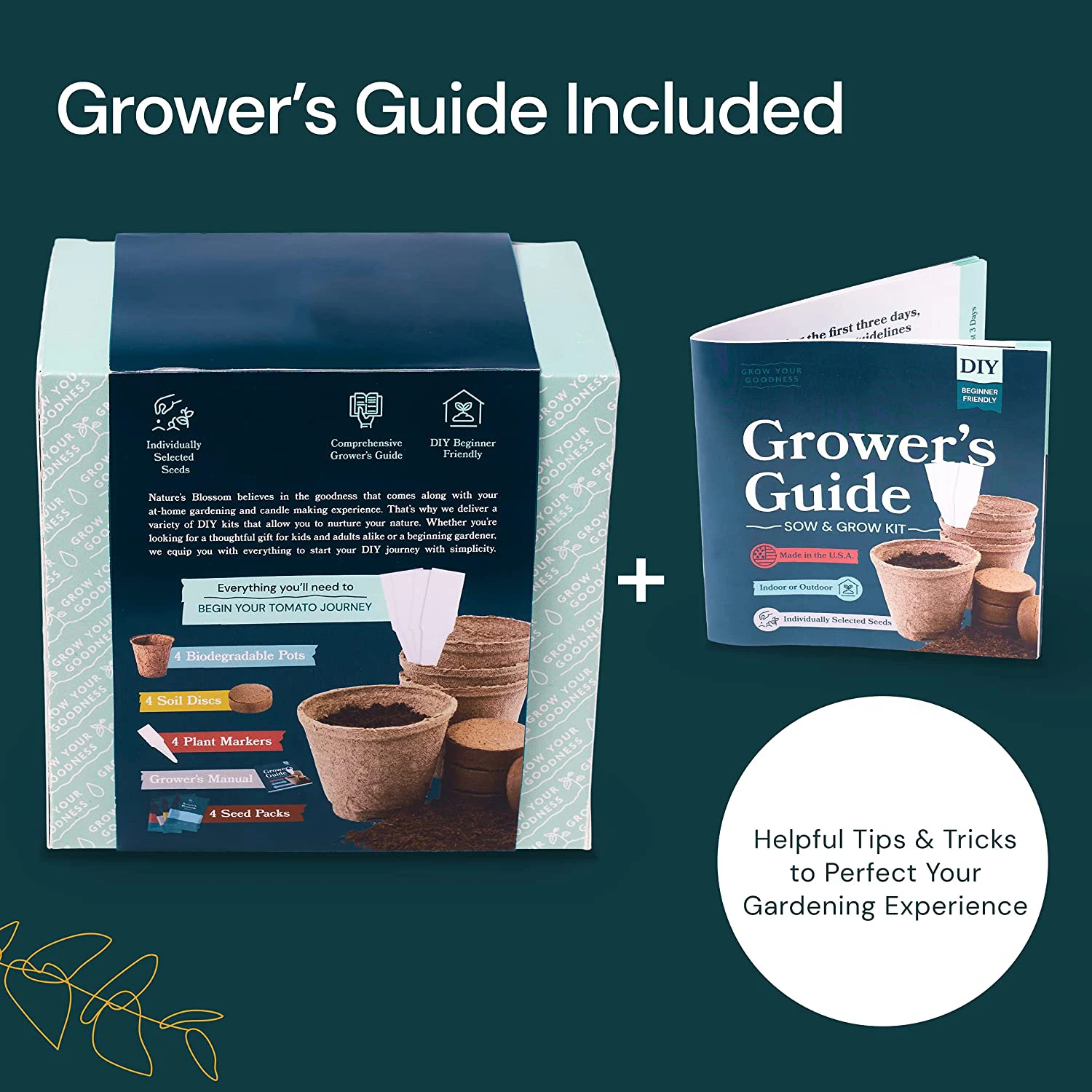 Grow 4 Types of Tomatoes from Decorate Gardening Starter Set For Growing Unusual Tomatoes Tomato Garden Kit