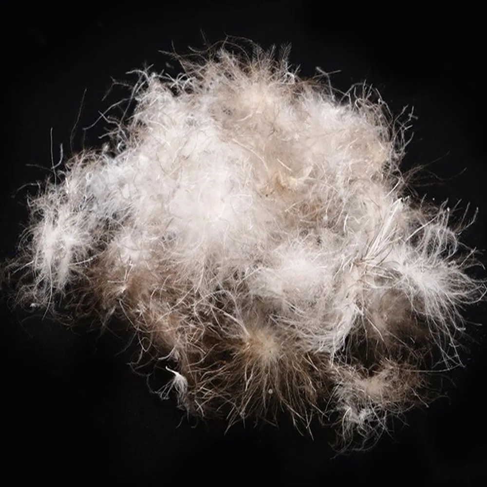 DIGNITY Wholesale Natural Softer White KEEP WARM Breathable and Dry Goose Feather 100% Duck Feather Insert Manufacturer