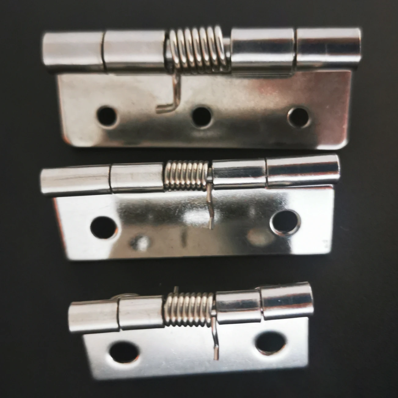 
Stainless steel Spring hinges 