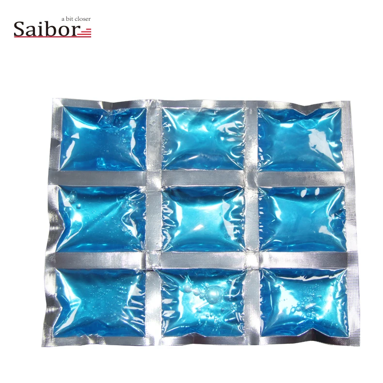 
Ice Packs for Pharma and Food Delivery Cold Chain Shipping with Custom Branding 