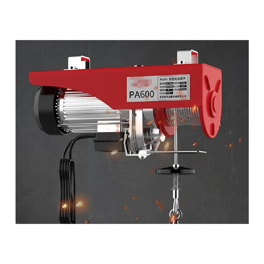 custom logo lifting crane micro PA200 PA500 PA400 PA300 PA600 PA800 PA1000  mini light duty electric hoist