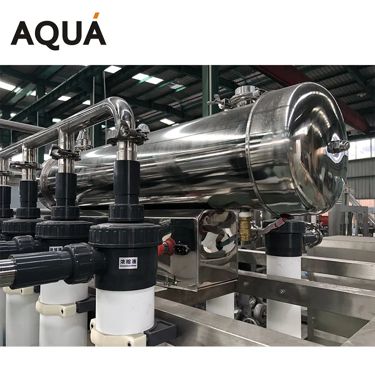 5000LPH Automatic Mineral Water Filtration Plant / UF Filtration System