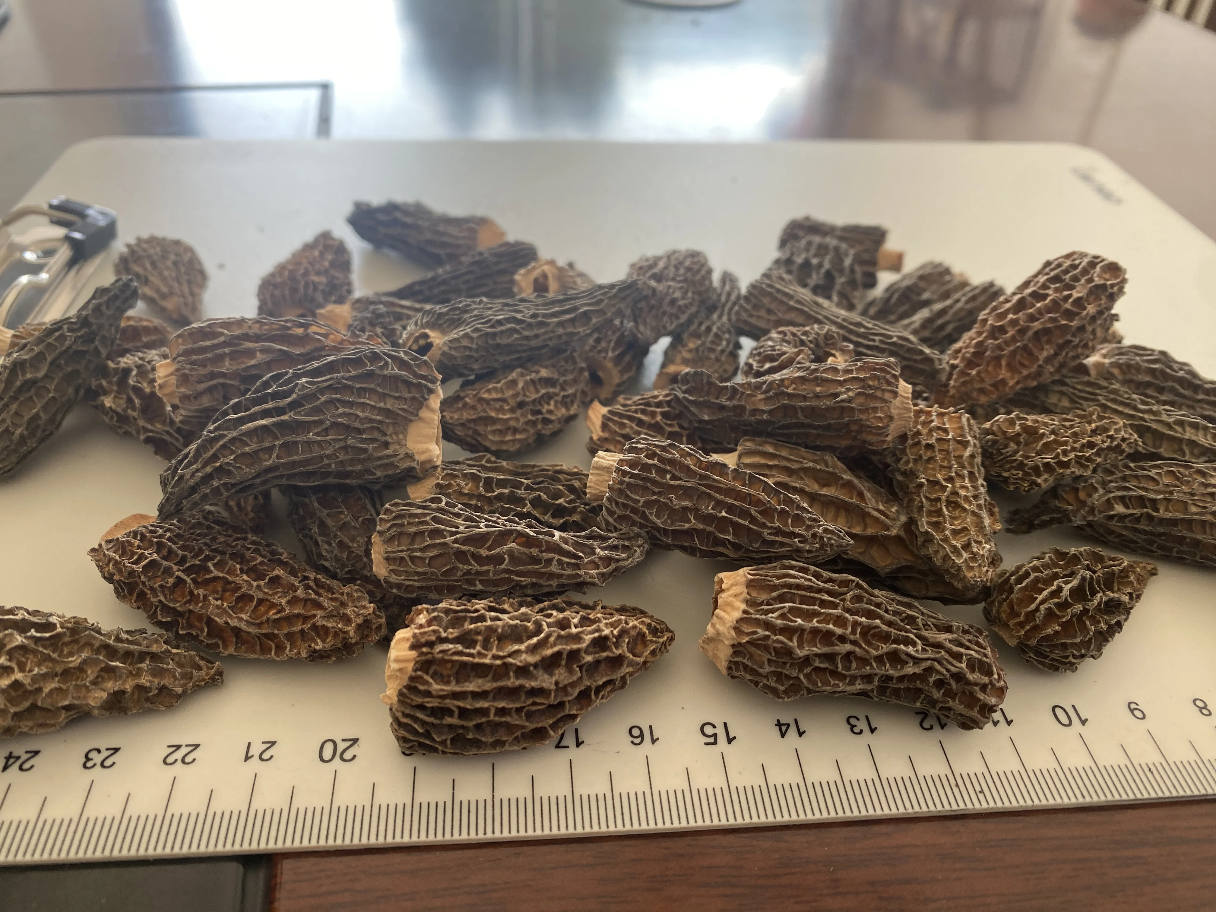 Haoyuan morel mushroom high-quality dried mushroom 2-5cm,mushrooms & truffles