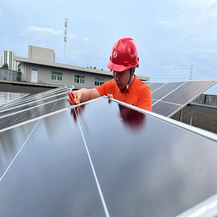 Solar Module Solar Power Panels for Energy System Array Setup 600w House Installation Cost Eu Stock 700 Watt 750w Solar Panel