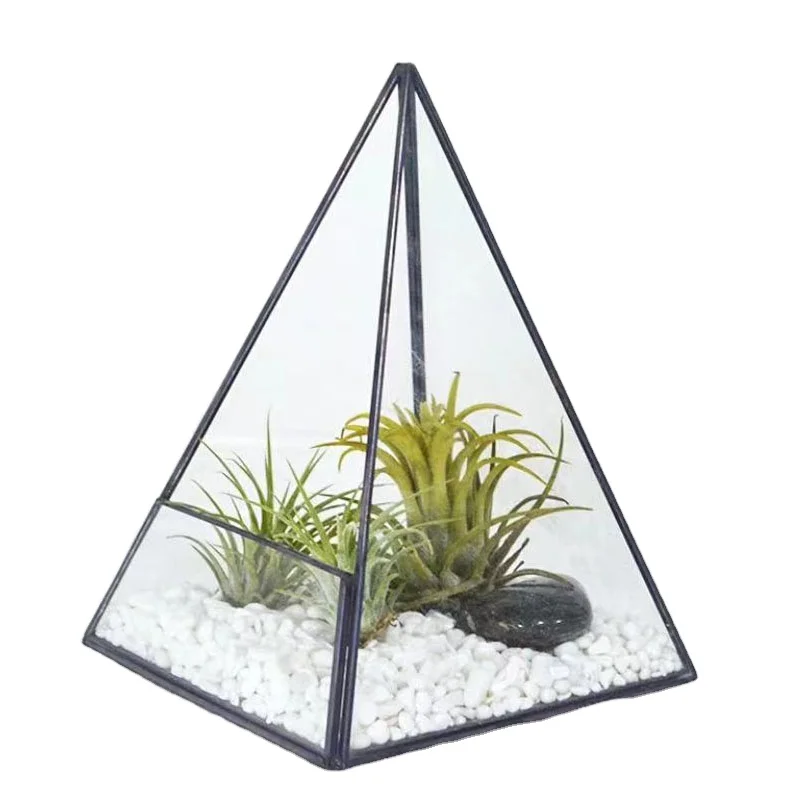 pyramid vertical metal glass geometric terrarium for home and indoor