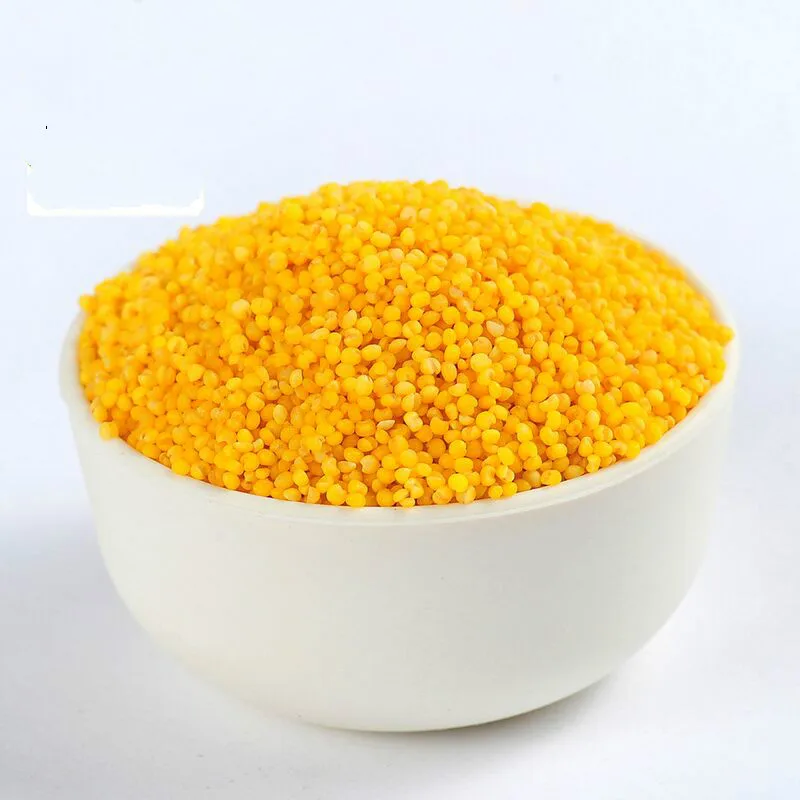 Deep In The Mountains Natural Dried Organic Yellow Millet