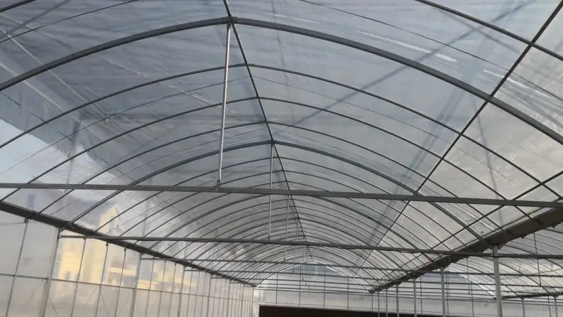 200 micron double layer plastic film  hydroponics growing system greenhouse