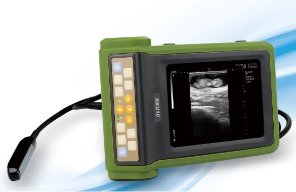 Full Digital B Mode System Vet Ultrasonic Scan Diagnostic Instrument RKU10 Animal Veterinary Ultrasound Machine