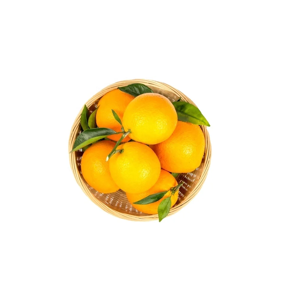 Wholesale Fresh Valencia Orange Fruit Navel Orange from Egypt Categorized under Citrus Fruit
