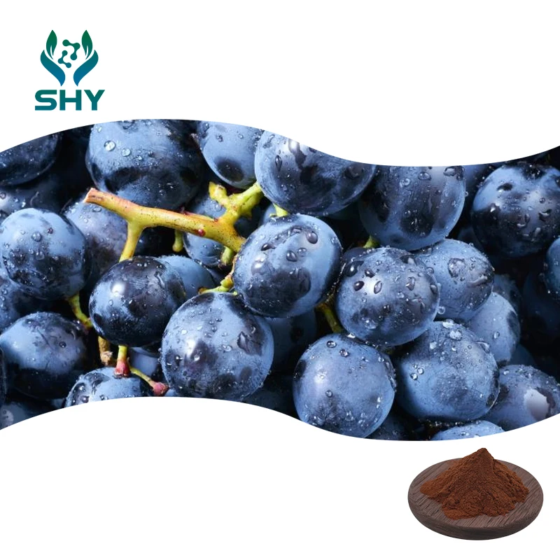 Natural Pure Grape Seed Extract OPC Powder 95% Proanthocyanidin