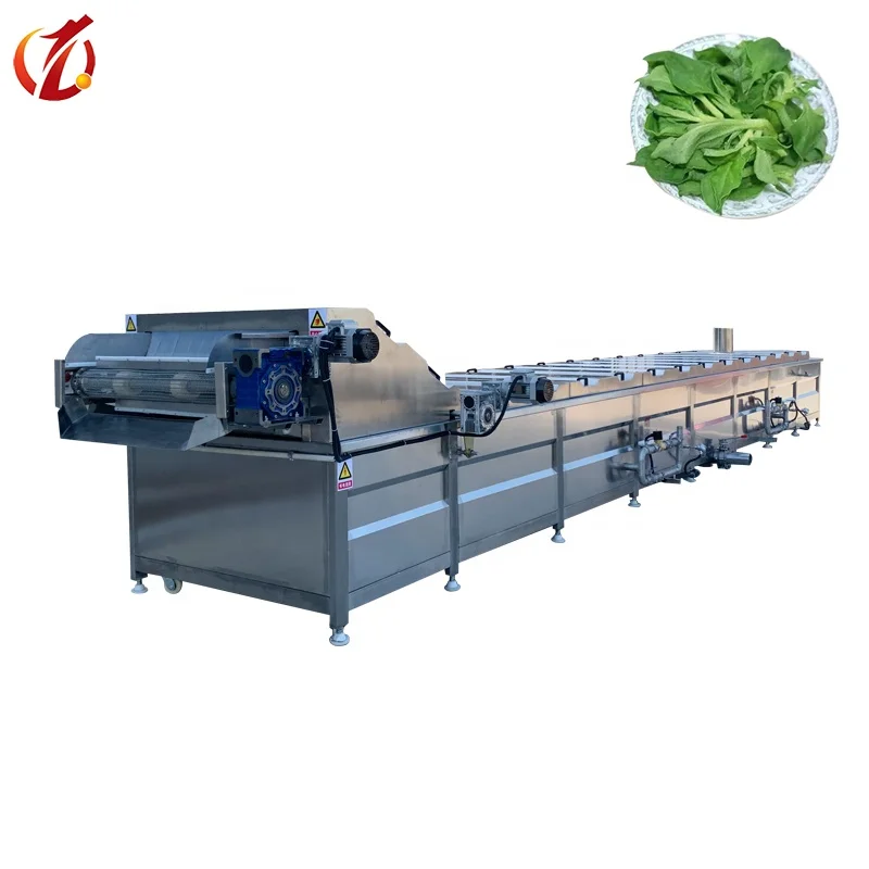 Fruit Mango Seafood Blanching Machine Vegetable Potato Processing Blanching Line